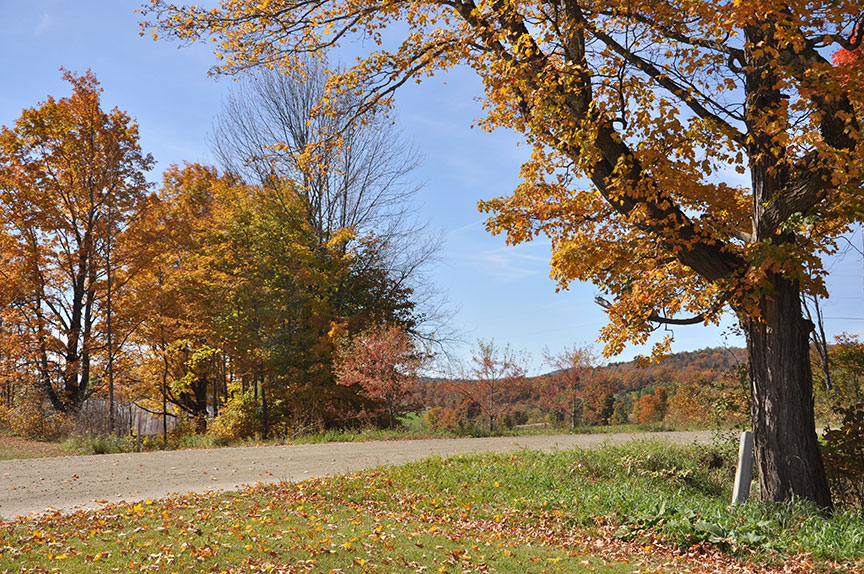 PeachamRoad_web Fall foliage in Peacham, Vermont
