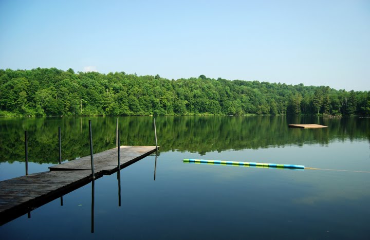 Curtis Pond Vermont