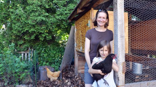 Raising Chickens in Five Sisters in Burlington