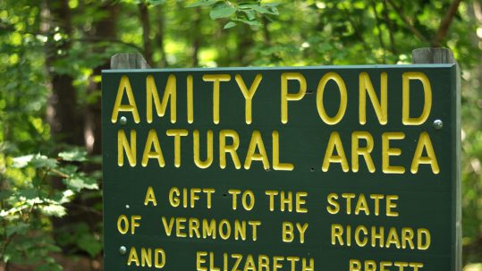 Unplugging at Amity Pond Natural Area in Pomfret