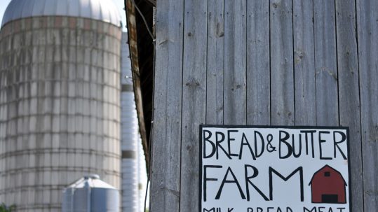 The Magic of Bread and Butter Farm
