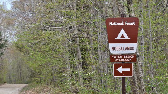 A Getaway to Vermont’s Lesser-Known Moosalamoo Region