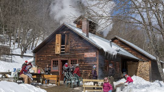 Where to Go for Vermont Maple Open House Weekend