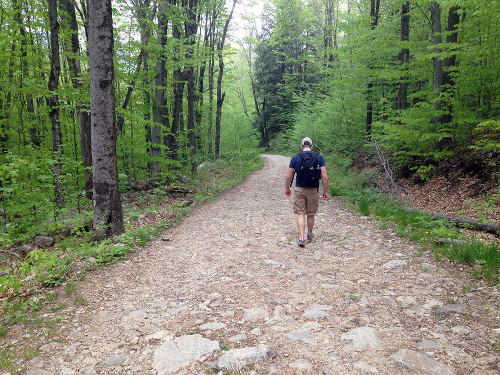 trails in manchester Vermont 