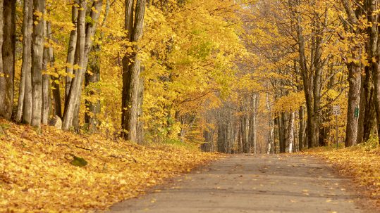 Explore the Outdoors This Fall on These 6 Vermont Scenic Dirt Roads