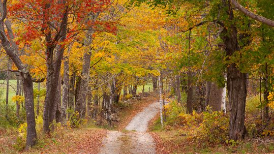 Why Vermont’s Fall Foliage is Better than the Rest