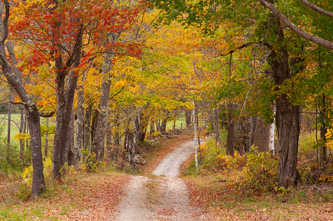 Vermont fall foliage 2020