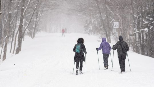 6 Winter Outdoor Alternatives to Alpine Skiing