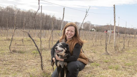 Veterinary Oncologist Kendra Knapik Revitalizes an Abandoned Vineyard in the Champlain Islands