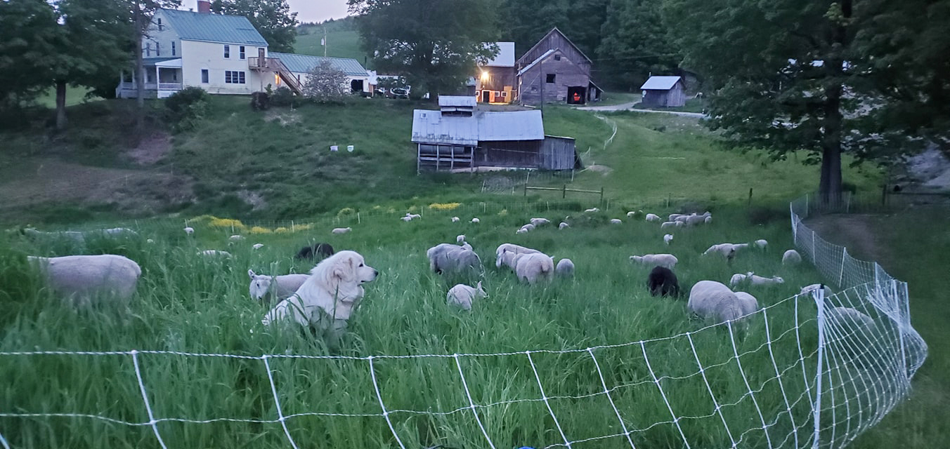 Vermont open farm week 2021