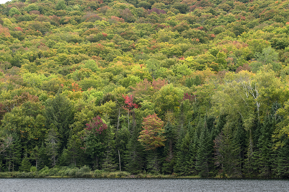 Vermont fall foliage hikes