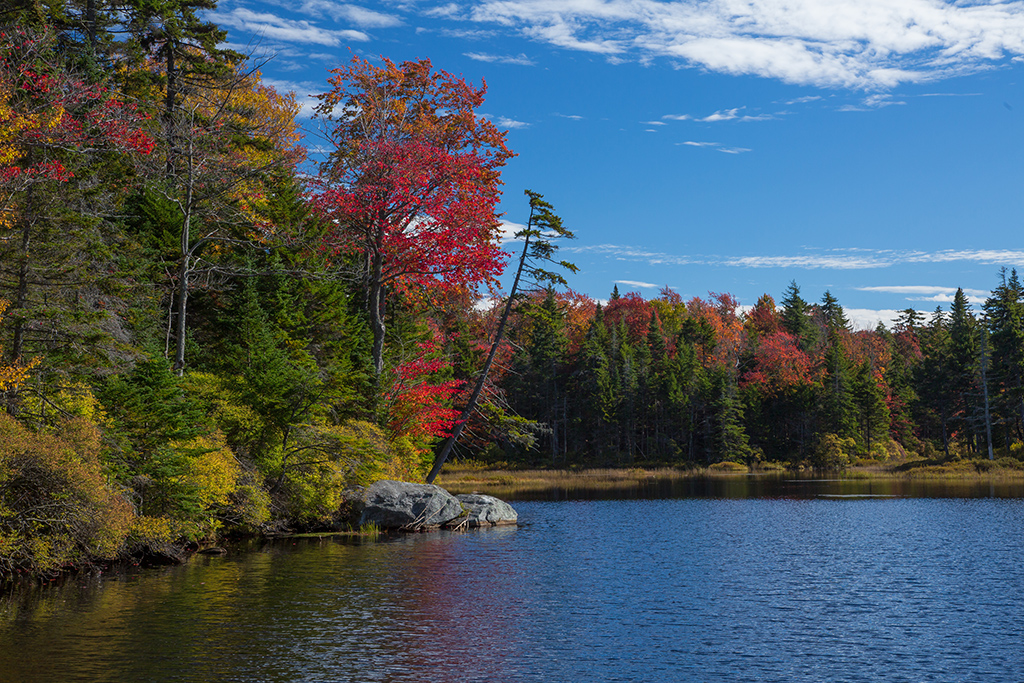 Vermont fall foliage hikes