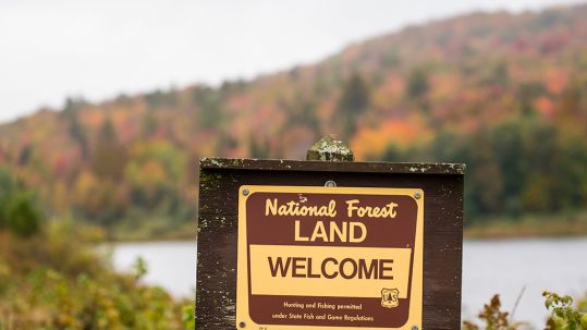 Things to Do in the Green Mountain National Forest