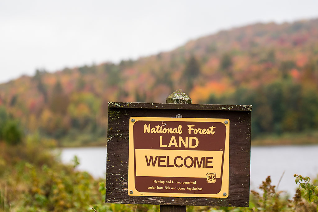 Where to Go and Things to Do in the Green Mountain National Forest