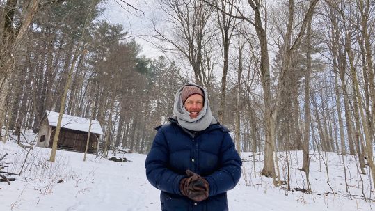 vermont forest bathing